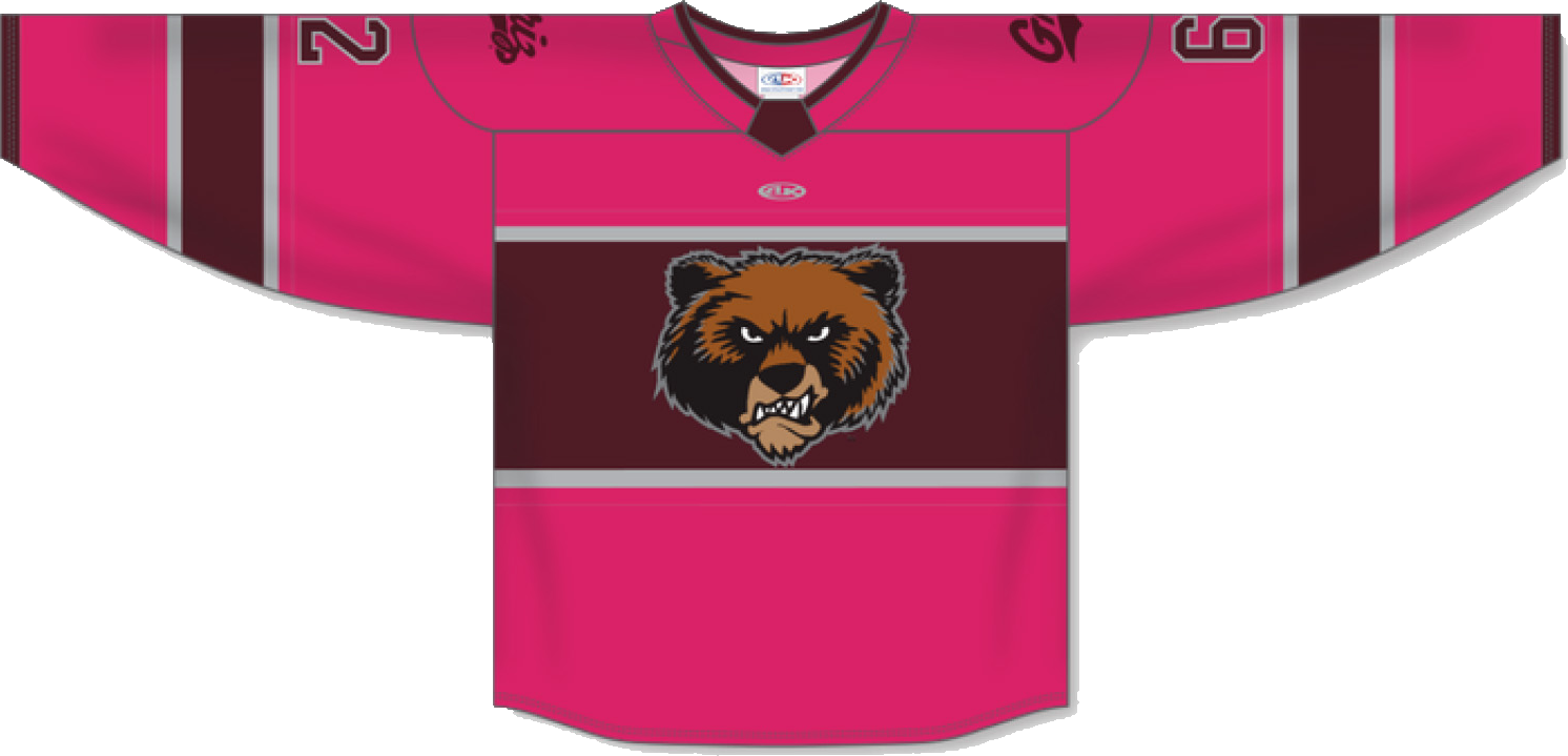 Breast Cancer Awareness Jersey Auction jersey
